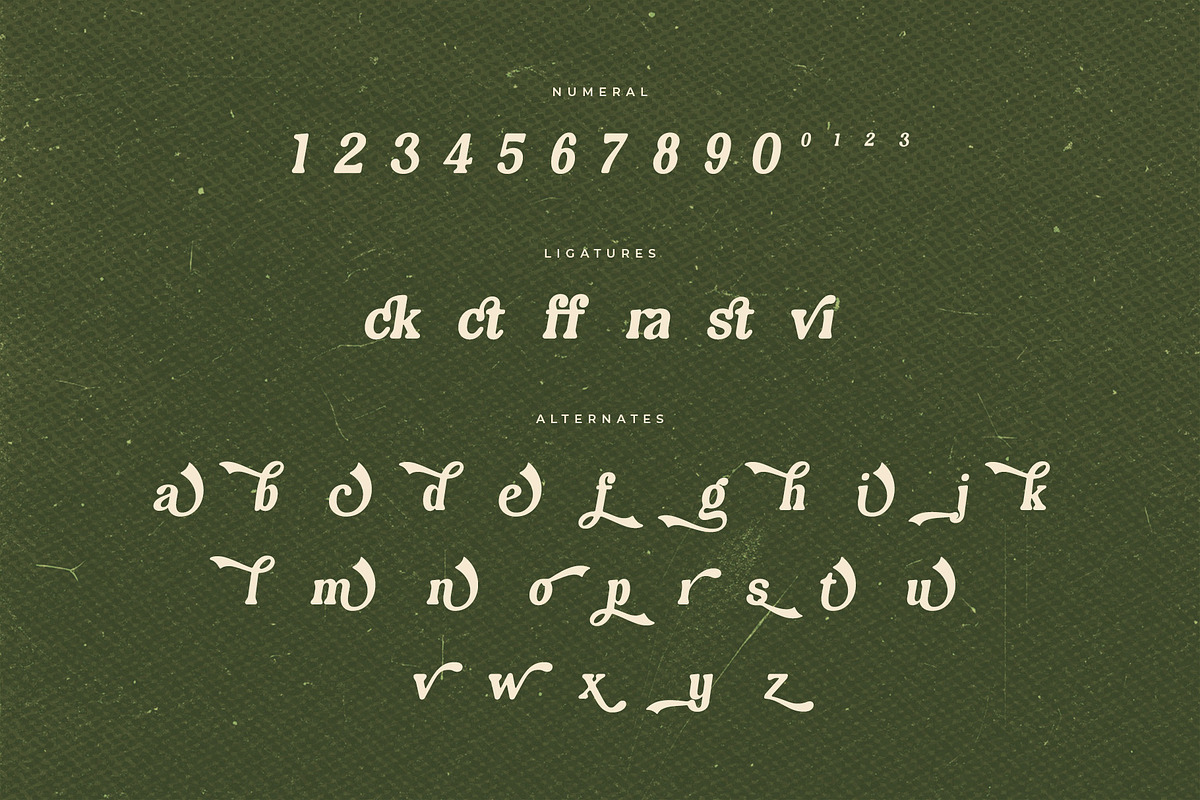Graville – Retro Script Serif, a Serif Font by Almeera Std (Photo 6 of 10)