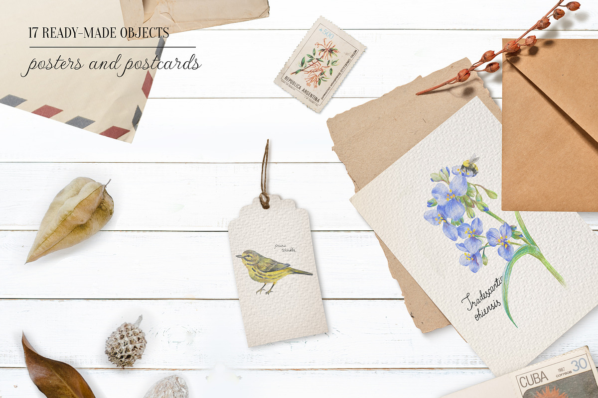 Prairie aesthetics. 52 items, an Animal Illustration by Art by Lady Natali (Photo 10 of 13)
