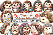 Watercolor Hedgehog Sublimation Clip, an Illustration by DreamCafeArt (Thumbnail 1 of 7)