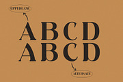DE GYUBEE, a Serif Font by Muflieart (Thumbnail 2 of 6)