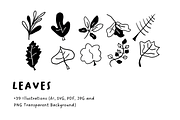 39+ Hand-Drawn Leaves Illustrations, an Object Illustration by The Journey Atelier (Thumbnail 3 of 5)