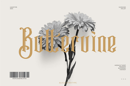 Buttervine - Vintage Display Font