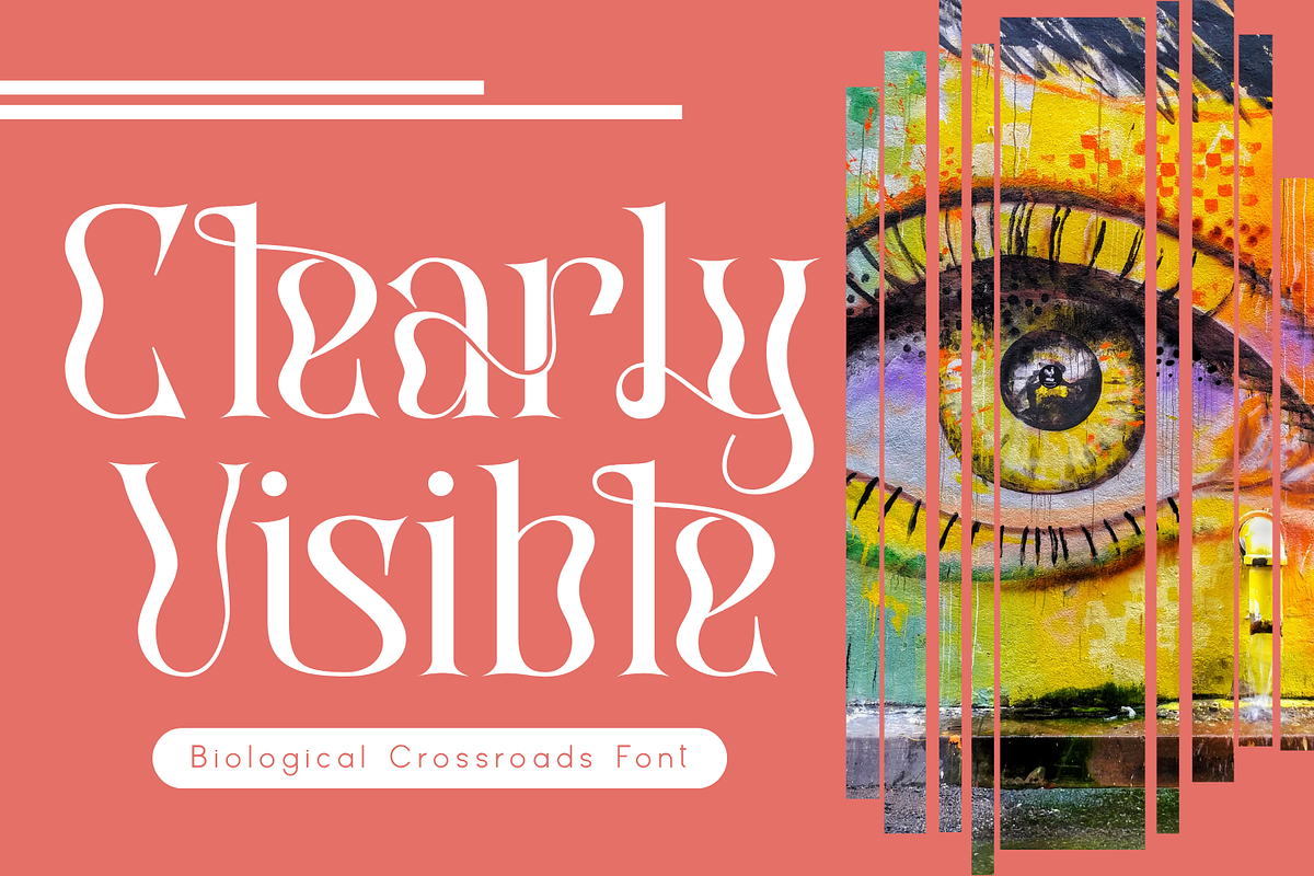 Biological Crossroads - Psychedelic, a Serif Font by 177Studio (Photo 4 of 8)