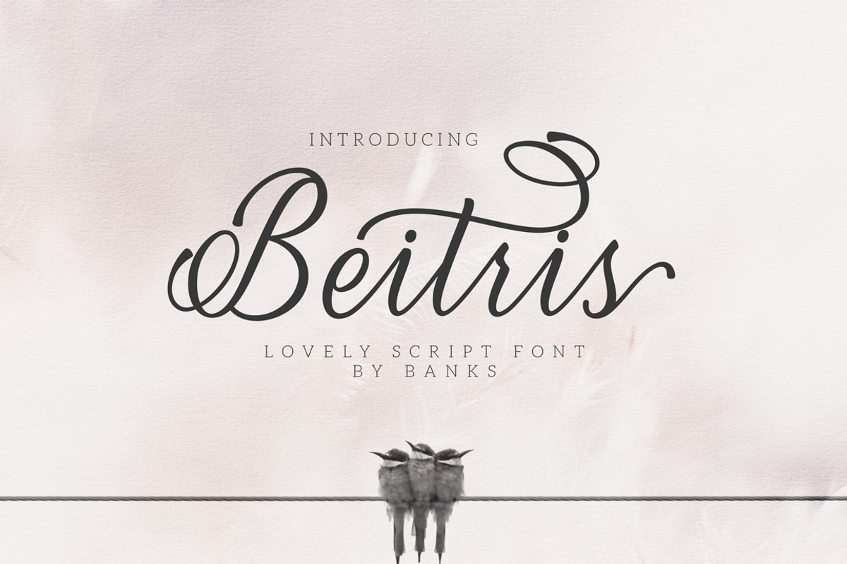 Beitris Script, a Script Font by banks (Photo 15 of 15)