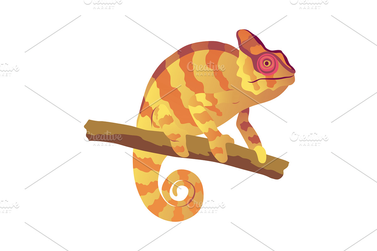 Chameleon lizard. Reptiles, an Animal Illustration by Things for designers