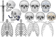 Halloween Botanicals Clipart set., a Seasonal Illustration by Happy Sloth Graphics (Thumbnail 8 of 16)