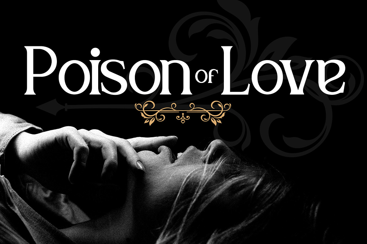 Park Wilson, a Serif Font by LetterStock (Photo 6 of 8)