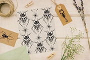 Enchanted Etymology | Ink Halloween, an Animal Illustration by Ink Stories (Thumbnail 7 of 9)