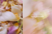 Soft Floral Spring Blur Backgrounds, a Background Graphic by eclosque (Thumbnail 22 of 48)