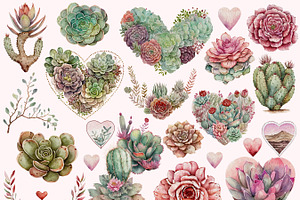 Boho Cactus & Succulent Clipart