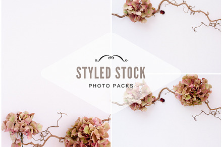 Pack 32 i styled stock stock photo containing minimalist and succulents, a Business Photo by SophieStockBoutique
