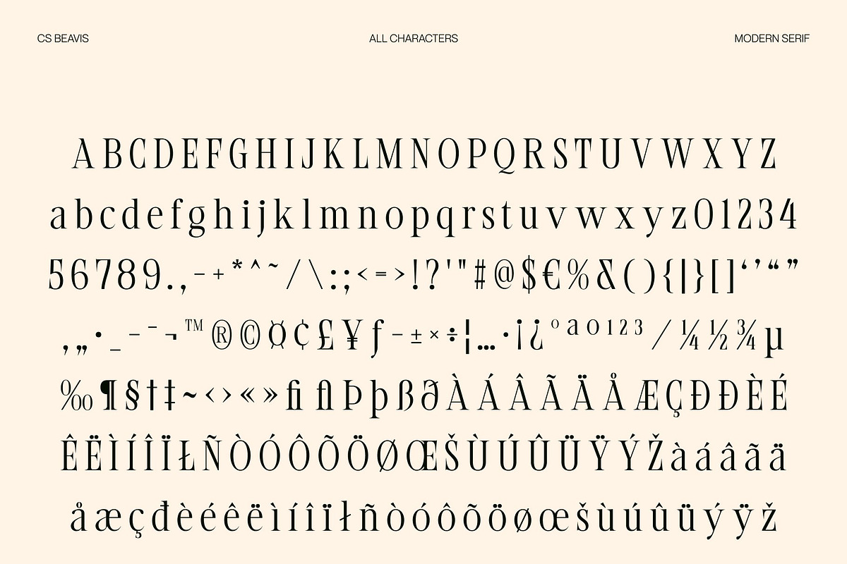 CS Beavis – Modern Serif Font, a Serif Font by Craft Supply Co. (Photo 8 of 8)