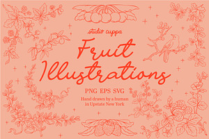 Fruit Illustrations PNG EPS SVG