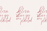 The Brywood - Script & Serif Fonts, a Script Font by KA Designs (Thumbnail 6 of 24)