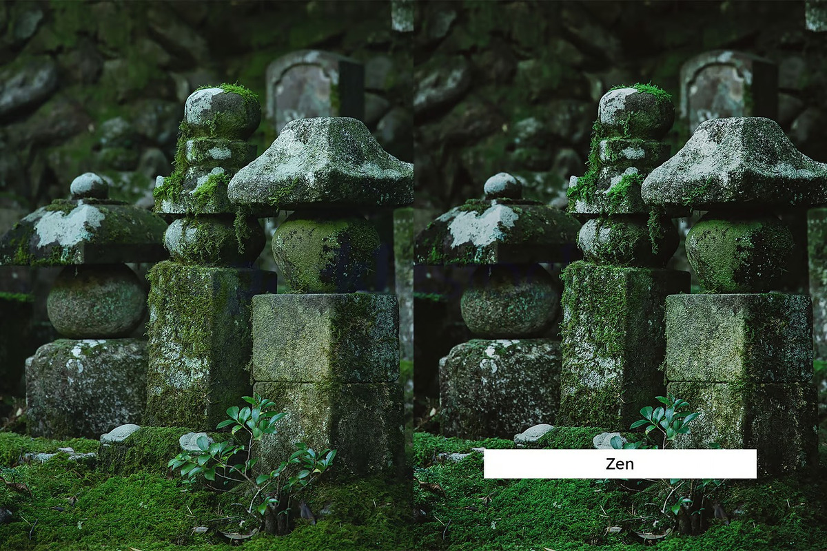 20 Moss Lightroom Presets & LUTs, a Preset Add-On by Hubzway (Photo 4 of 9)