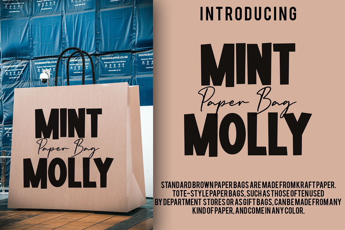 Mintmolly - Modern Decorative Font, a Sans Serif Font by overlaytemplates (Photo 3 of 6)