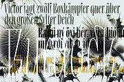 Repyakh Variable, a Serif Font by LevType (Thumbnail 4 of 14)