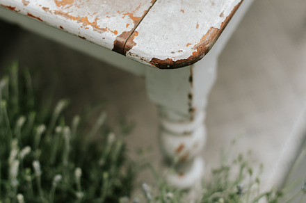 Old wood and plants