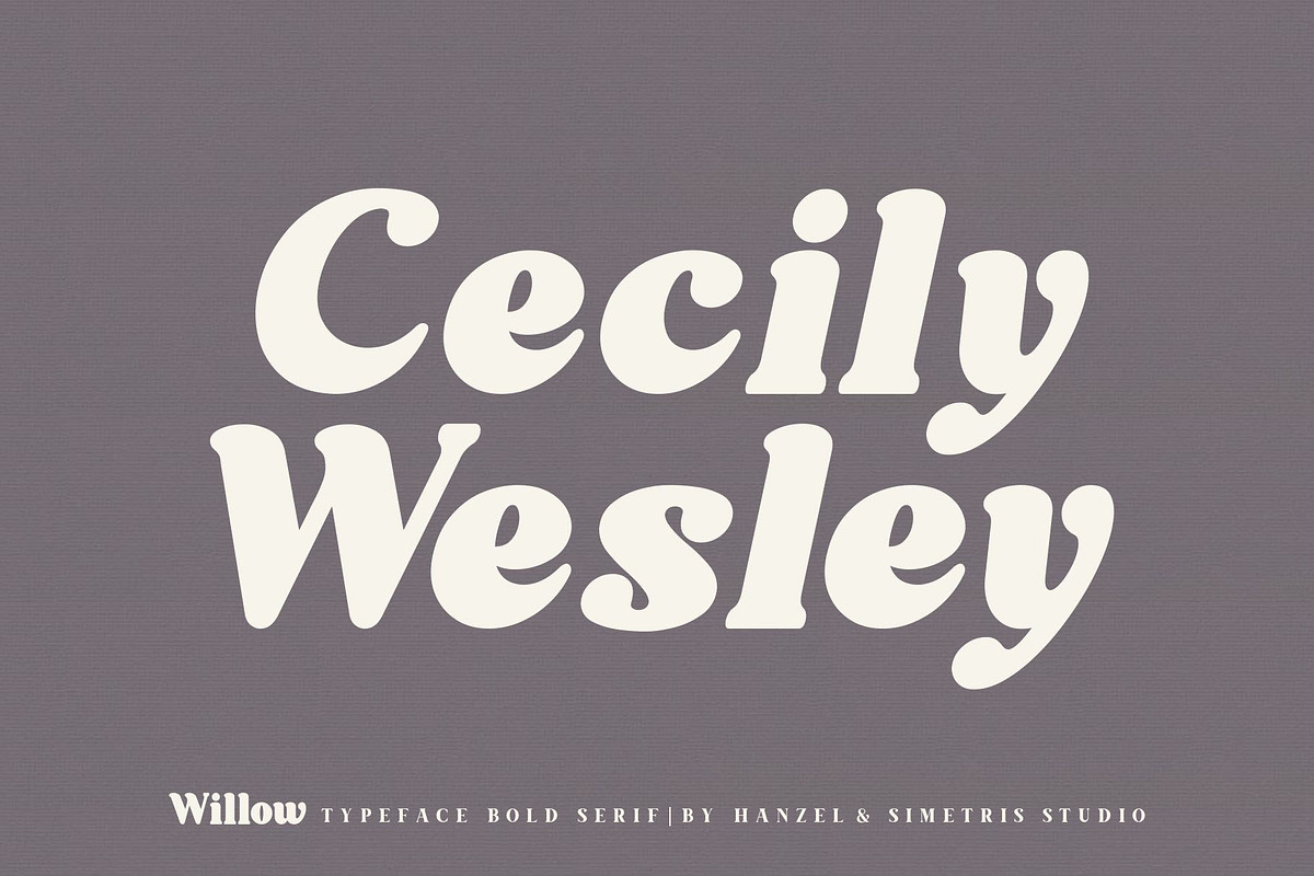 Willow. Typeface Bold Serif, a Serif Font by Kleffont Studio (Photo 9 of 10)