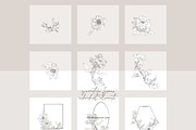 Pencil Sketched Fine Line Flowers Cl, an Illustration by Patishop Art (Thumbnail 5 of 9)