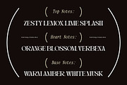 Magdes Modern Display Serif Font, a Serif Font by timelesstype.co (Thumbnail 12 of 15)