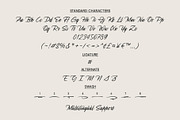 Daxar | Signature Script, a Script Font by Lemonthe (Thumbnail 11 of 11)