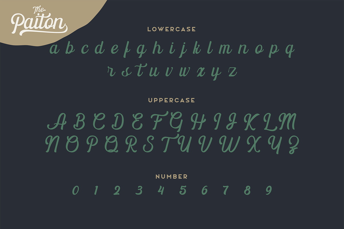 The Paiton -Modern Script Font, a Script Font by Morisco (Photo 3 of 9)