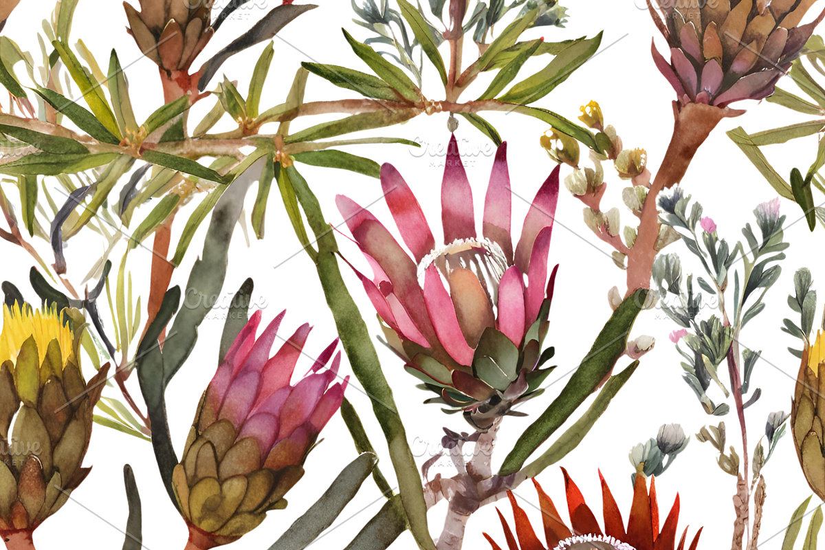 Watercolor Fynbos Flowers, a Decorative Illustration by Karliefie (Photo 5 of 6)