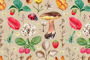 Summer Nature Illustrations Kit