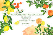 Watercolor citrus collection, a Food Illustration by Watercolor & sketches (Thumbnail 1 of 8)