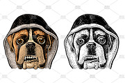 Head dog with human hat, an Animal Illustration by MoreVector (Thumbnail 4 of 4)