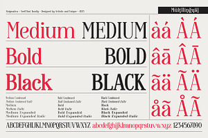 Enigmatica - Serif Font Family