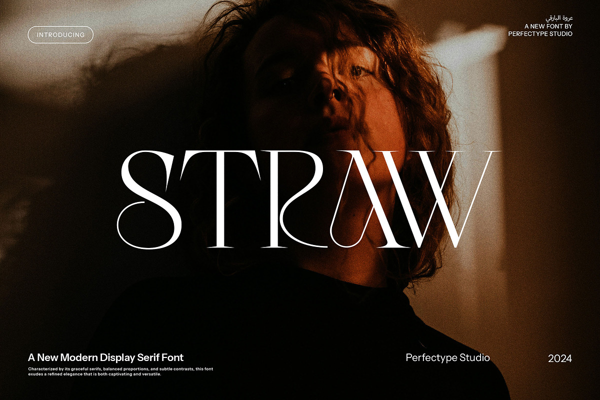 Straw Modern Serif Font, a Serif Font by Perfectype (Photo 1 of 8)
