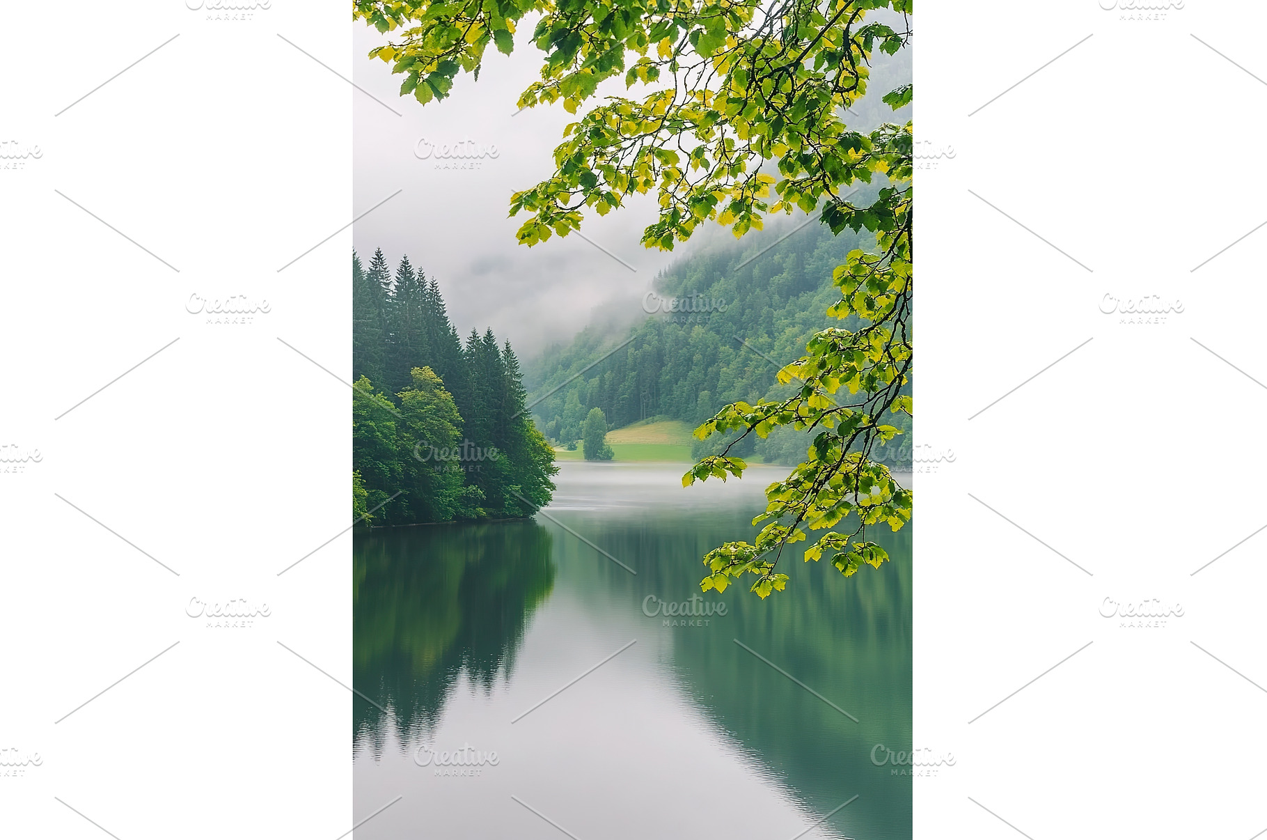 Serene Forest Lake Surrounded by, a Nature Photo by Lermont51