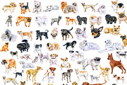 Watercolor Dogs Mega Big Bundle, an Illustration by Dneprstock (Thumbnail 1 of 60)