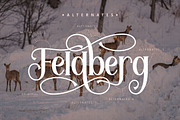 Feldberg - Elegant Luxury Serif Font, a Serif Font by PutraCetol Studio (Thumbnail 11 of 11)