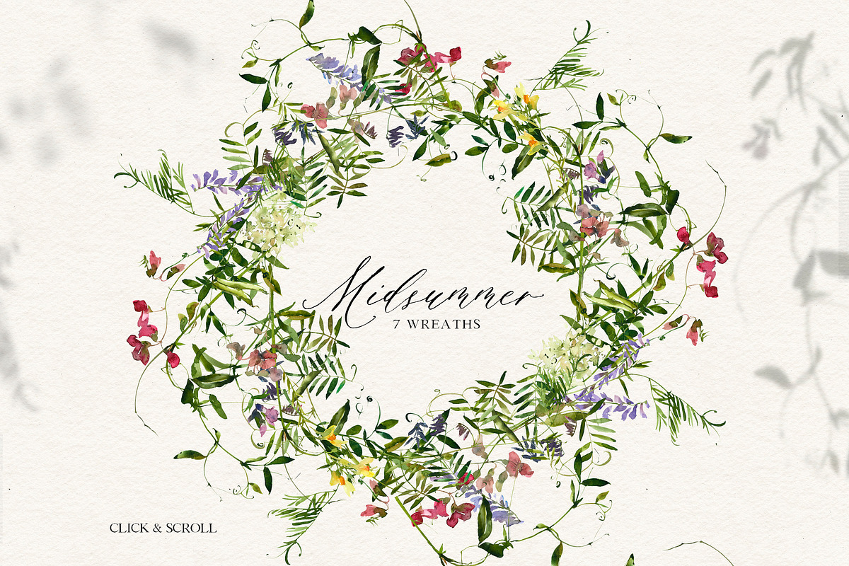 Midsummer - field flowers clipart, a Decorative Illustration by whiteheartdesign (Photo 7 of 16)