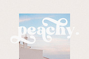 Grande - Retro Font, a Serif Font by Sans & Sons (Thumbnail 7 of 11)