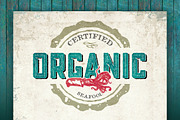 Blakstone Display Family, a Sans Serif Font by Albatross (Thumbnail 14 of 14)