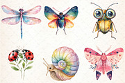 Watercolor Bugs Sublimation Clipart, an Illustration by DreamCafeArt (Thumbnail 2 of 7)