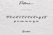 Palloma a Signature Font, a Handwritten Font by Basnistudio (Thumbnail 16 of 17)