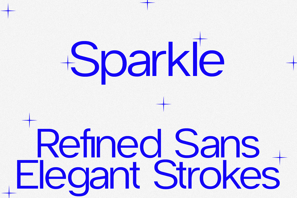 Sparkle - Modern Sans Serif, a Sans Serif Font by spectertype (Photo 12 of 14)