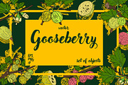 Gooseberry hand drawn vector, a Food Illustration by Elena Mykhailenko (Thumbnail 1 of 4)