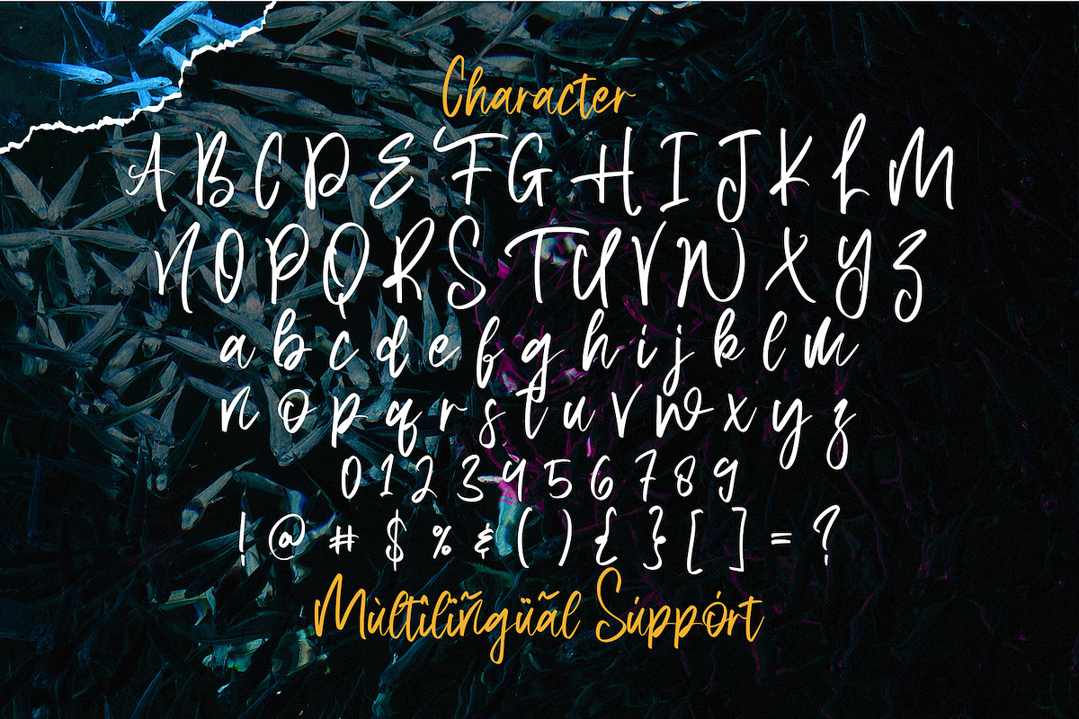 Aquilla - Brush Script Font, a Script Font by StringLabs (Photo 10 of 11)