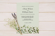 Watercolor Eucalyptus Clipart, an Object Graphic by ArtGiftsStudio (Thumbnail 6 of 6)