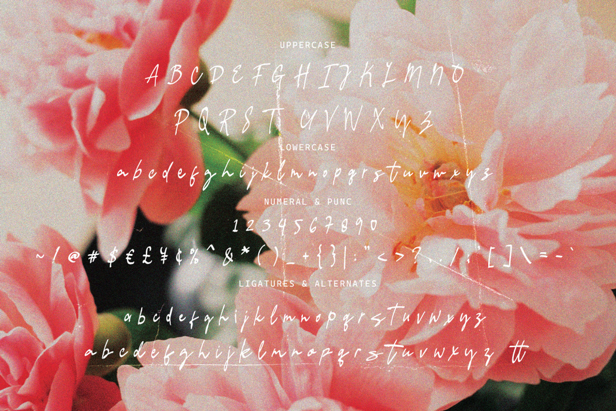 Cotton Blush - Charming Signature, a Handwritten Font by tebaltipislab (Photo 10 of 11)