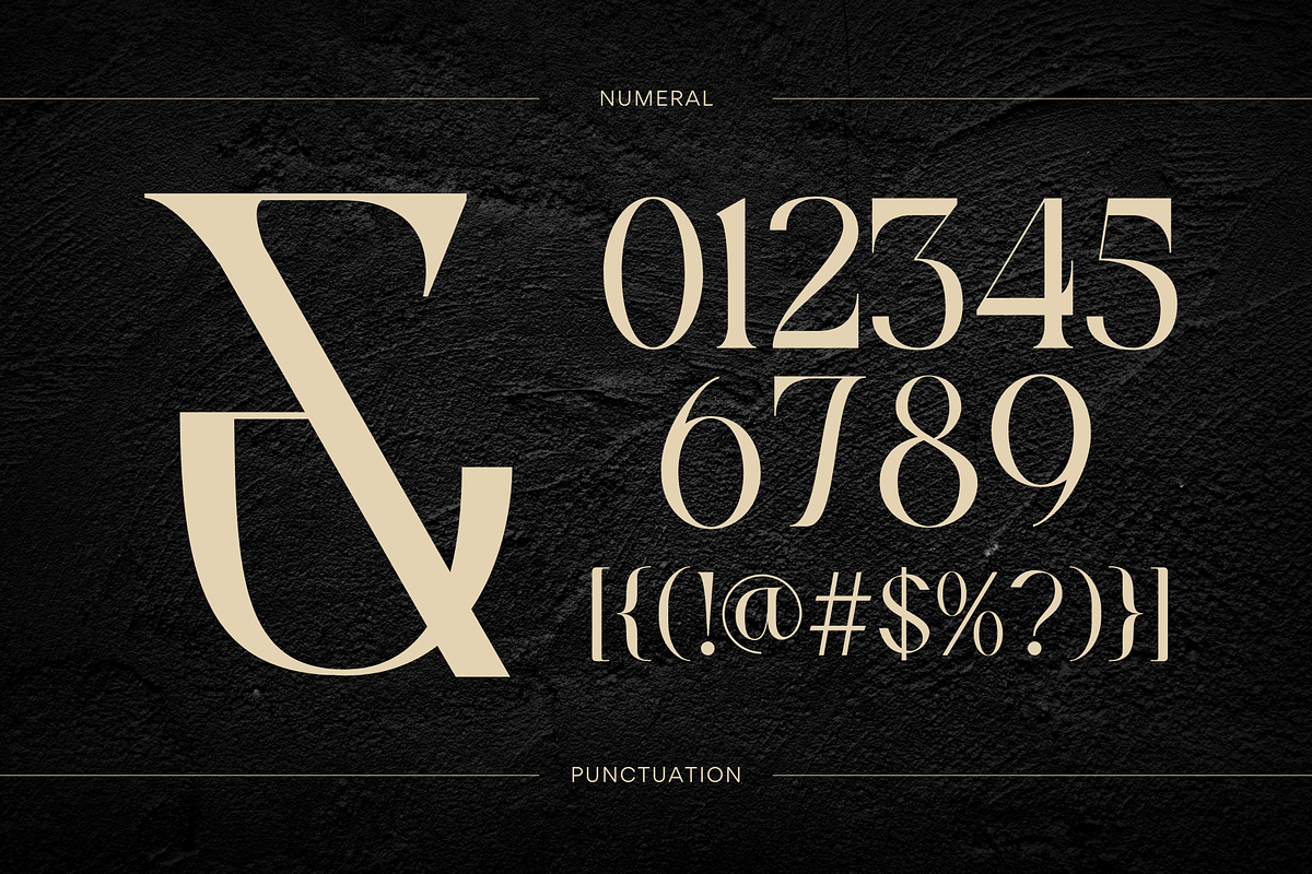 Xeola - Modern Logo Font, a Serif Font by Nirmana Visual (Photo 10 of 10)
