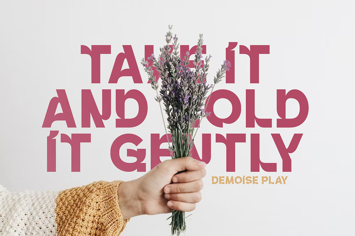 Demoise - 2 Font Styles (28 Fonts), a Sans Serif Font by Maculinc Type (Photo 2 of 9)