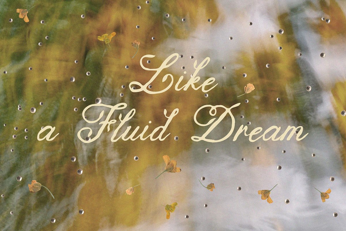 The Blooming Hour Botanical Script, a Script Font by AnMark (Photo 11 of 12)