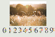 Watercolor meadow, an Illustration by Love Watercolor Store (Thumbnail 6 of 7)